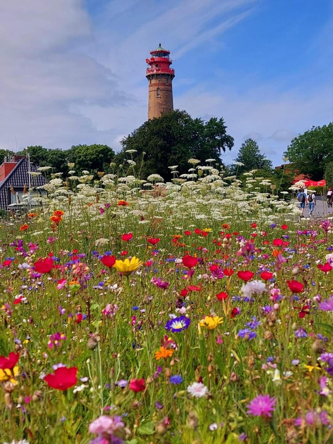Fewo Unter Der Kuehlung Bastorf ภายนอก รูปภาพ